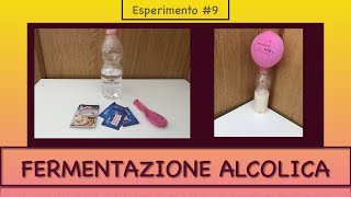 Gonfiare un palloncino con il lievito di birra  fermentazione alcolica  Esperimento 9 [upl. by Enautna]