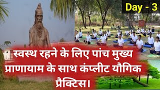 स्वस्थ रहने के लिए पांच मुख्य प्राणायाम। Day 3 Guruji yoga [upl. by Leirbag577]