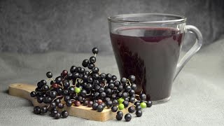 The Definitive Guide to Black Elderberry Benefits [upl. by Rogerson]