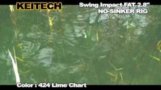 Swing Impact FAT 2 8quot NO SINKER RIG [upl. by Munford]