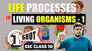 Life Processes in Living Organisms  1  SSC Class 10 ONE SHOT  Maharashtra State Board [upl. by Keven]