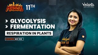 Respiration in plants Class 11 Glycolysis  Fermentation  Ashima Maam  Vedantu Master Tamil [upl. by Kev282]