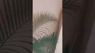 Check out this Erica Palm growth aplaceinthesun nature musicgenre aviewfromthetopoftheworld [upl. by Elisee194]