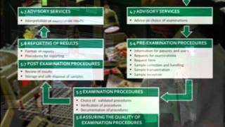 Quality Management System and Types of Audits [upl. by Japeth]