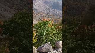 Karakorum valleys in autumn 🍁 amazing mountains gilgitbaltistanadventure himalayanmountains [upl. by Ecirtac]