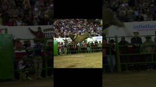 Reto GANSITO DE NAYARIT vs PATRÓN DE CORRALEJO Rancho la Candelaria en Autlán Jalisco Jaripeo [upl. by Cymbre]