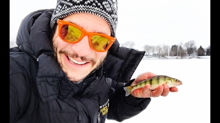 MONSTER PERCH of Missisquoi Bay [upl. by Noside993]