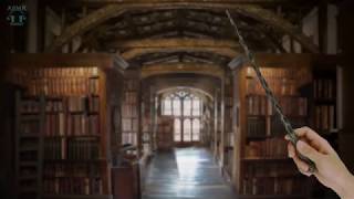 Hogwarts Library ASMR ⚡ Harry potter Ambience  Relaxing Page flipping amp Book sounds [upl. by Staley]