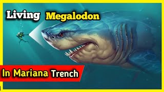 Living Megalodon In The Mariana Trench   shorts [upl. by Akimahc]