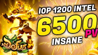 6500 HP LE STUFF IOP ULTIME 1200 INTEL SUR DOFUS [upl. by Nob]