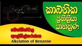 Alkylation of Benzene  බෙන්සීන් ඇල්කිල්කරණය [upl. by Nyleve]