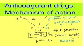 Anticoagulant drugs mechanism of action and therapy Oral anticoagulantsPhysiology  Pharmacology [upl. by Mohammad766]