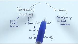 A2 Biology  Sustainability OCR A Chapter 245 [upl. by Aiclef]