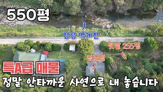 힐링주택할머니가 혼자 가꾼 사연 있는 주택 명당터 [upl. by Janus]