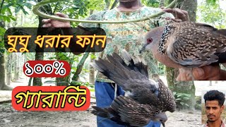 Dove ঘুঘু পাখি ধরার সহজ ফাঁদ। ঘুঘু ধরার সহজ ফান বানানো। gogor fad 2024 New Still ঘুঘু ধরার সহজ ফাঁদ। [upl. by Ainegul]