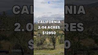 Offgrid 204 Acres for Sale in Tehachapi California for 12950 Taxes are 89 a year shorts fyp [upl. by Attenaej]