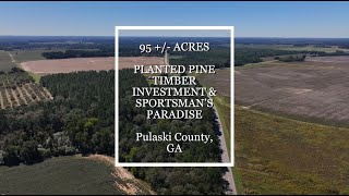 95 Acres  Musgrove Estate  Planted Pine Timber Investment  Sportsmans Paradise [upl. by Atilehs]