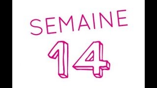 14éme semaine de grossesse  16ème semaine d’aménorrhée [upl. by Cristen]