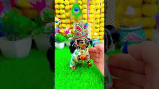 Kanhaiya Ke Darshan radheradhe krishna viralshort trendingshorts youtubeshorts [upl. by Peednus65]