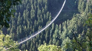 Längste Hängeseilbrücke in Deutschland Geierlay  360 Meter [upl. by Ayeki359]