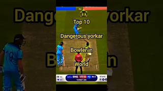 Top 10 Most Dangerous Yorkers That Shook the Cricket World cricket yorkers shorts [upl. by Adnat922]