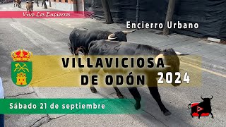 ENCIERRO VILLAVICIOSA de ODÓN SÁBADO 21 [upl. by Naehgem685]