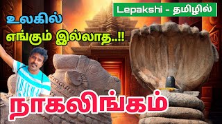 இந்தியாவில் எங்கும் இல்லாத பிரம்மாண்டம்  Mystery Temple In India  Lepakshi Temple In Tamil [upl. by Lebiram]