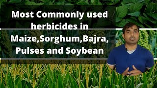 Most Commonly Used herbicide in MaizeSorghum Bajra Pulses and Soybean [upl. by Renzo261]