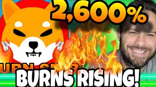 Shiba Inu Coin  SHIB Burn Rate Surges Despite Falling Price PlayDoge Secures 5 Million Dollars [upl. by Nnaillij749]