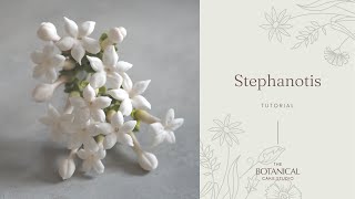 Gumpaste Stephanotis Sugar Flower tutorial [upl. by Rodrique]