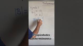 Propiedades de los determinantes Renglón múltiplo de otro determinantes [upl. by Ahtibat]