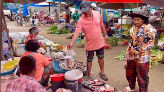 Fresh natural vegetable fish and meat market in Banteay Meanchey province of Cambodia food [upl. by Moreland]