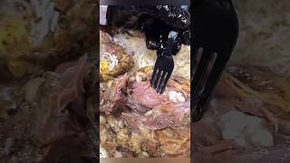 Whole Lamb Roast Dampukht Arabic Style streetfood [upl. by Ellah840]