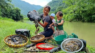 How to harvest giant fish during heavy rains and floods  cooking with your children [upl. by Neiviv]