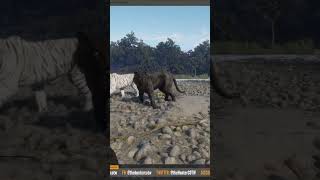 Bengal Tiger Spotlight  Fur Types and More  theHunter Call of the Wild shorts tiger [upl. by Etteyafal]