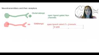 115 Neurotransmitters amp receptors BONUS [upl. by Enenaej]