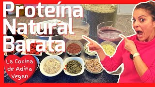 Proteína en Polvo  CASERA NATURAL BARATA VEGAN 💜 [upl. by Katee]