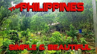 Philippines  People in the mountains of Cebu  Simple beautiful [upl. by Burtis979]