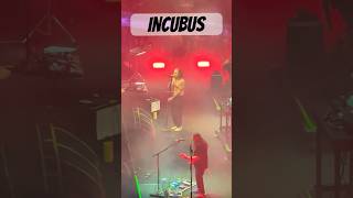 Incubus Tour 2024 incubus fyp concert shorts music song trending ai popular artist [upl. by Charline]