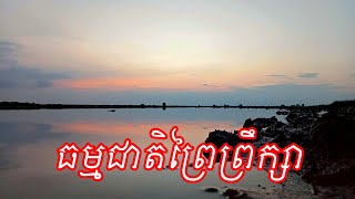 ធម្មជាតិព្រៃព្រឹក្សា Bearn Bunnat [upl. by Etnemelc]