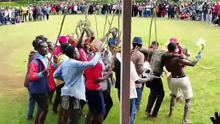 Trending luhya circumcision culture choffuriluhya culture presentations [upl. by Illib]