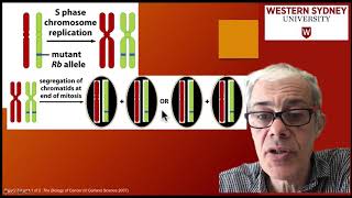 34 Loss of heterozygosity LOH [upl. by Isolda884]