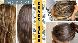 TONING your hair at home  STEP by STEP how to get rid of BRASSINESS in Highlights [upl. by Sivartal762]