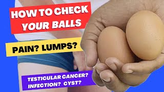 Checking For Testicular Cancer Cysts Hydrocoele Epididymitis Torsion amp Varicocoele [upl. by Ahsenwahs]