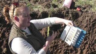 Soil Profiling Color [upl. by Ifar90]