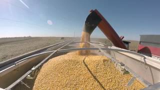 Fetters Farms Auction  Harvest Video Sullivan Auctioneers LLC [upl. by Llehsam]