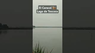 El caracol 🐌 Lago de Texcoco 🌅 [upl. by Agnese]