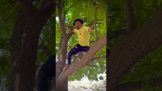 Ped pe chad gaya 😅 tree challenge shorts [upl. by Ettellocin]