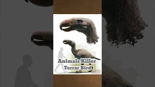 Terror Bird का खौफ 😱😰 ytshorts [upl. by Airamat]