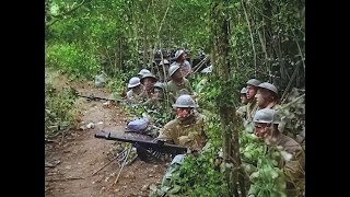 WWI Footage  Colorized amp HD Restoration  MeuseArgonne Offensive 1918 [upl. by Lleynod402]